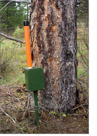 Bioenergy Harvester Product